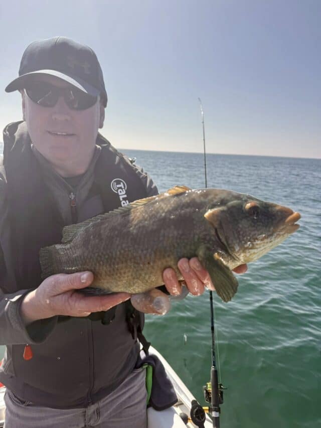 Emmet with a fine wrasse close to specimen size. Great scrap