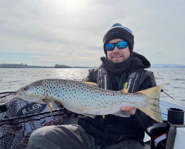 trout