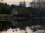 A challenging week on the Nore