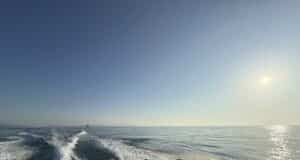 It was wall to wall sun all day with an easterly chill built in