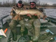 Martin does no wrong getting 110 pike in a week, 17 over 100cm Martin Allington