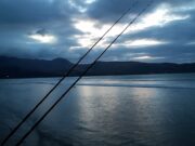 Watch: Irish Angling Adventures Latest Shore Video