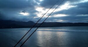 Watch: Irish Angling Adventures Latest Shore Video
