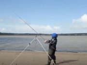 Video: The Inshore Angler on how to target sting ray