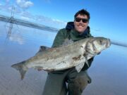 Specimen Bass from Kerry Beaches for James Raymond bass