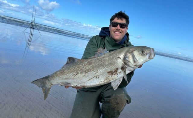 bass