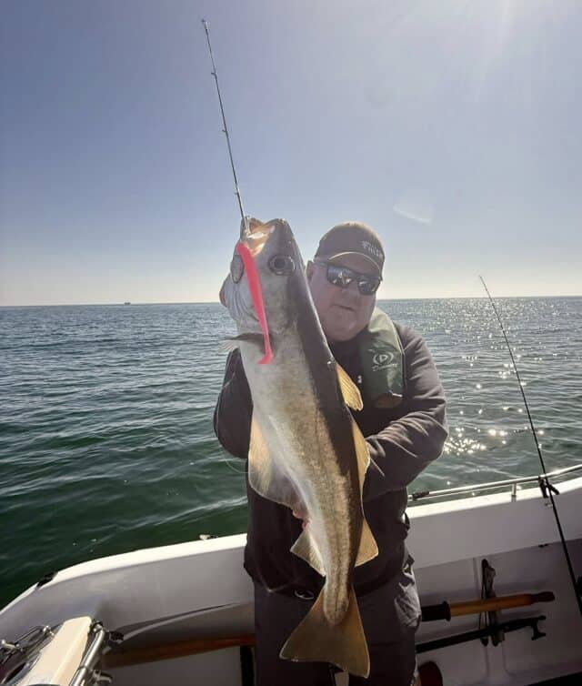 You’d take a fight off these all day! The pink Crazy Paddletail is just superb.