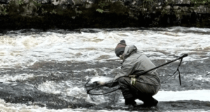 Easter rains raise water level at Ballisodare and first salmon caught angler lands a salmon at Ballisodare