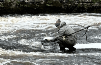 angler lands a salmon at Ballisodare