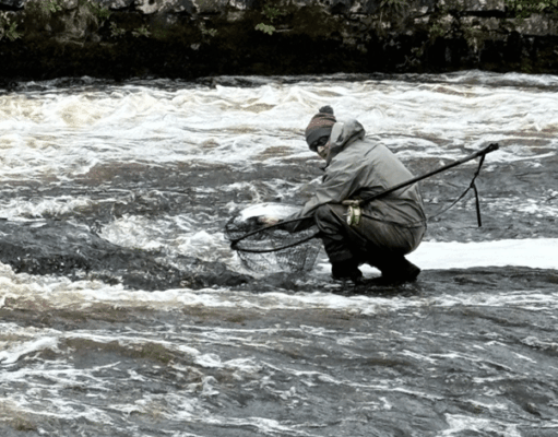 Easter rains raise water level at Ballisodare and first salmon caught angler lands a salmon at Ballisodare