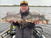 Big Perch and Pike on Lough Derg