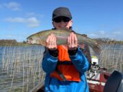 Birthday bows on Lough Lene for Reece and Oran rainbow Reece