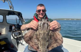 Undulate Rays Arrive in Tralee Bay – A Day to Remember on the Water