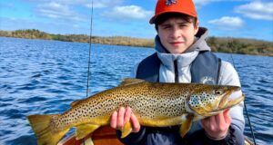 trout