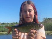 Young Robyn catches PB roach to show dad Dave how its done