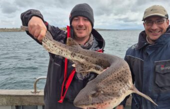 Galway Bay charter boats seeing good action