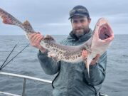 Clare Dragoon back on the fish in West Clare