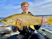 Superb sport on Corrib to buzzer and mayfly; ferox anglers also catching great fish