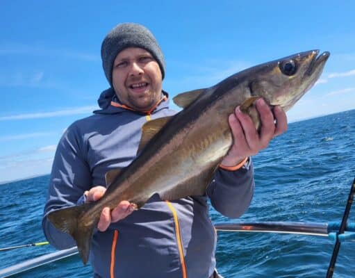 Superb charter fishing in Galway Bay