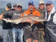 Great weather, great fishing in west Clare