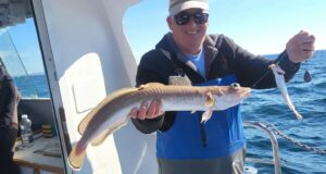 Sunshine and species galore in Galway Bay