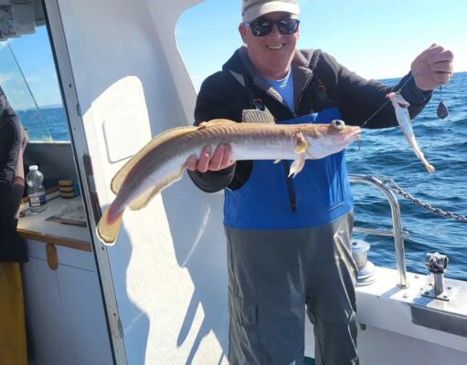Sunshine and species galore in Galway Bay