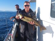 Good charter fishing in Donegal Bay