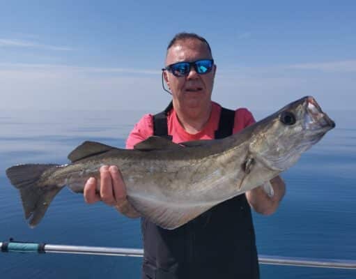 Wicklow Boat Charters makes the most oof the calm spell to hit the wrecks