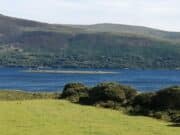 Very quiet week on Currane Church Island, Lough Currane, Waterville, Co Kerry_Web Size