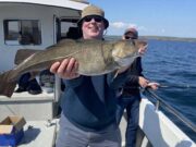 Some lovely charter boat fishing reported from Courtmacsherry