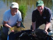 UK Anglers made to work for their catches during the hot sunny weather.