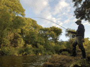Ireland on the Fly: Conor Arnold on the Blackwater’s May run and where have all the springers gone? fishing the munster blackwater