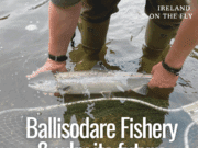 Ireland on the Fly: Ballisodare Salmon Fishery and why its future remains bright