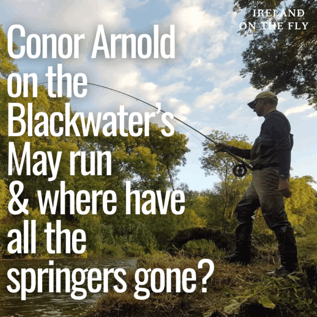 fishing the munster blackwater