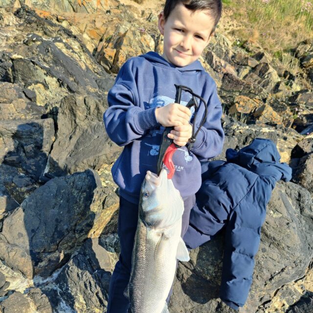 bass