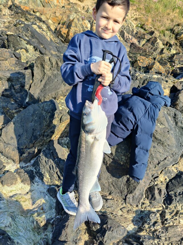 bass