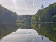Athy Anglers fish 1st round of summer league at Oaklands