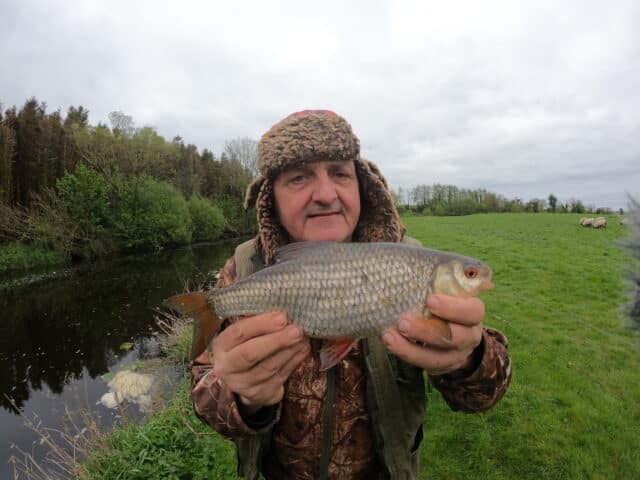 1lb 8oz Roach from the River Robe near Lough Mask. 