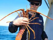 Dave Jolly wins 2nd leg of Cobh SAC’s Master Angler competition