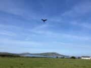 Another tough week of bright sun for Currane anglers Valentia this morning , 07 May