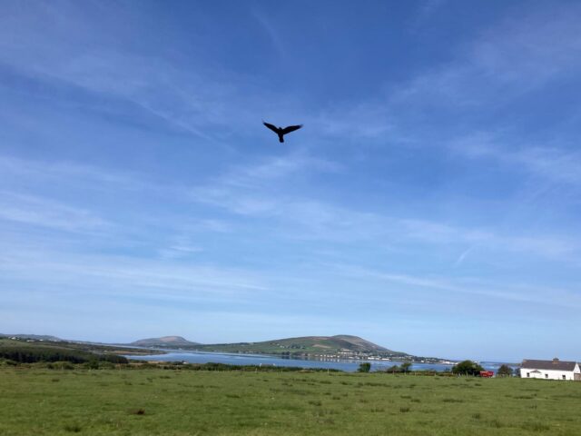 Valentia this morning , 07 May