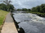 Few fishing but five more salmon caught on Ballisodare Fishery ballisodare