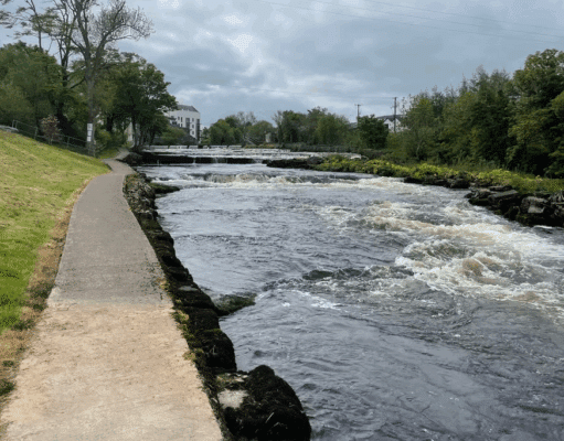 Plenty salmon running the Ballisodare Fishery ballisodare