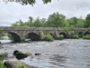 A few salmon from Laune and lakes last week