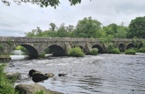 A few salmon from Laune and lakes last week