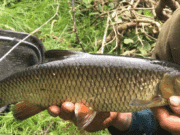 Out of the way places, good fishing and unusual fish on 3 week fishing safari