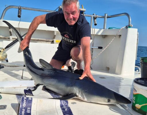 First blue shark of 2025 caught off Courtmacsherry