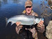 A few more salmon on the Moy with first fish off the Ridge Pool