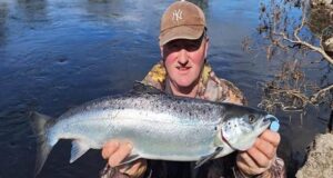 A few more salmon on the Moy with first fish off the Ridge Pool