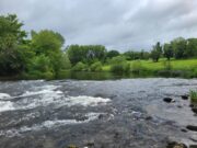 Cooler conditions challenge trout anglers on the Nore – Piscari-Fly report